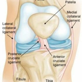 55e4590fbb99b59f125e555c689fb480 280x280 - Anterior cruciate ligament torn  (เส้นเอ็นไขว้หน้าฉีกขาด)